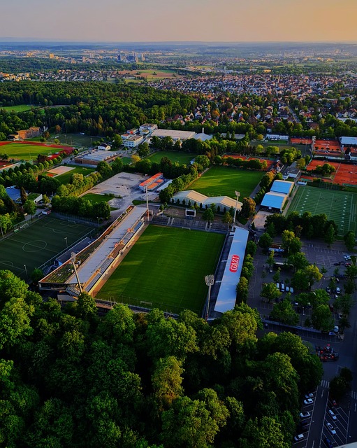 坚定的心理 坚定的心理