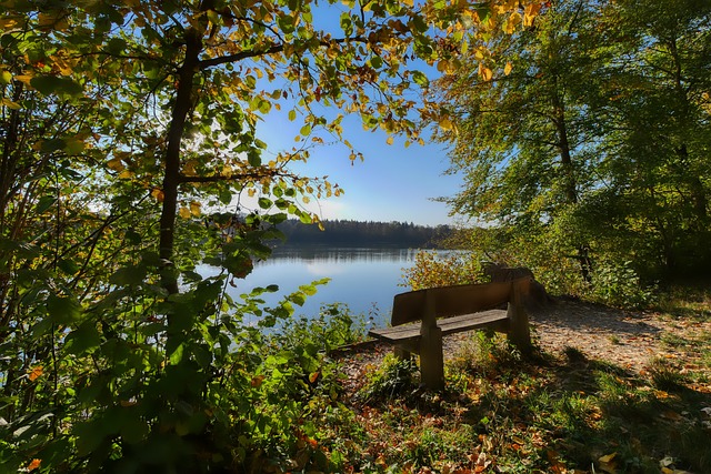 看前例找答 看前例找答