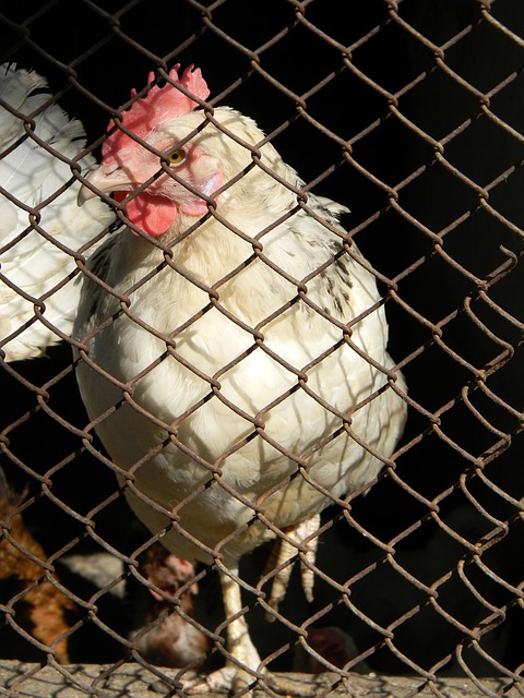 略调整的时 略调整的时