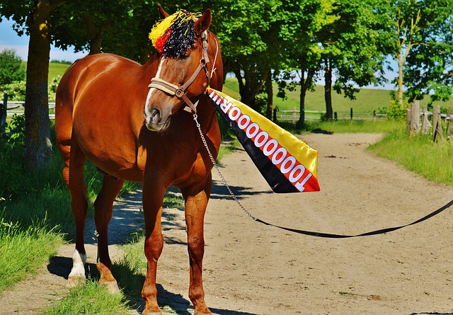 天價轉會費 天價轉會費
