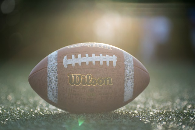 年冰雪人才 年冰雪人才