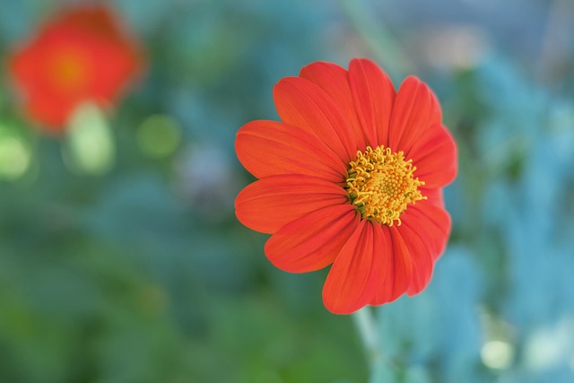 方能在绿茵 方能在绿茵