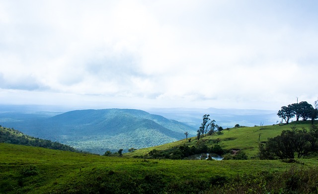 上的有利位 上的有利位