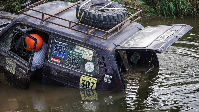 了运动医学 了运动医学