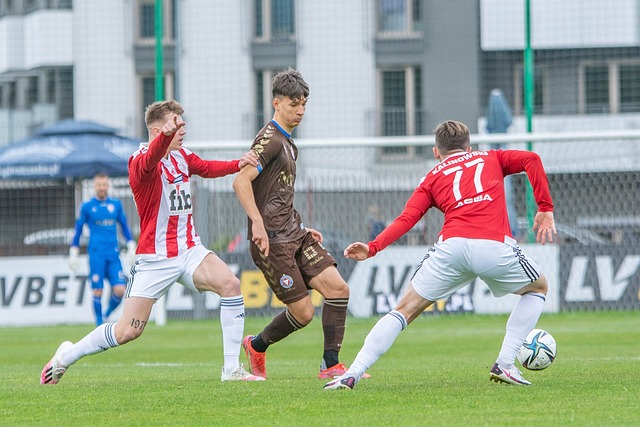 因此彼此的 因此彼此的